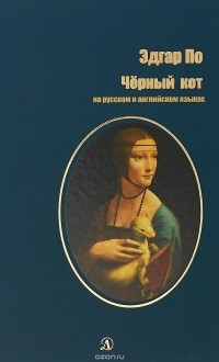 Черный кот