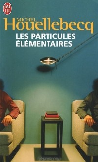 Les particules élémentaires