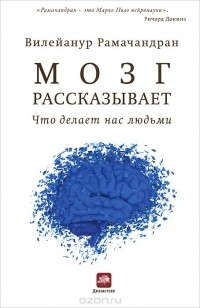 Мозг рассказывает. Что делает нас людьми