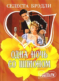 Одна ночь со шпионом