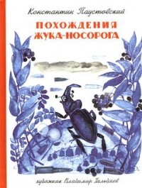 Похождения Жука-Носорога