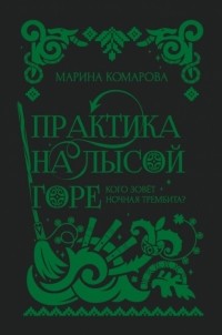 Практика на Лысой горе