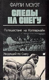 Следы на снегу