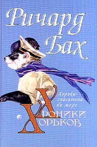 Хорьки-спасатели на море