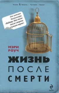 Жизнь после смерти