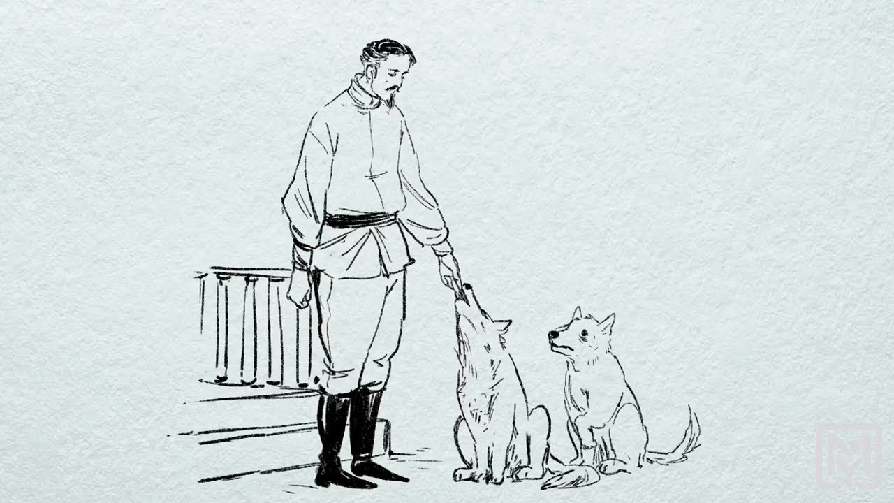 Video Cover