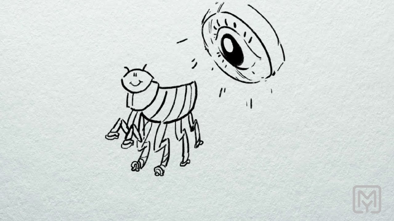 Video Cover